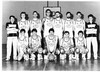 view larger image (opens in new window) Early 1980s Team Photo 2